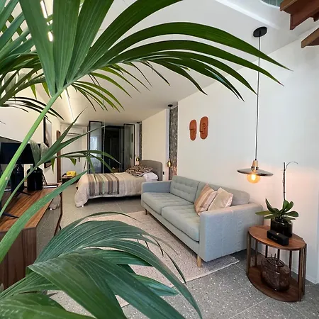 Koka Deluxe Duplex